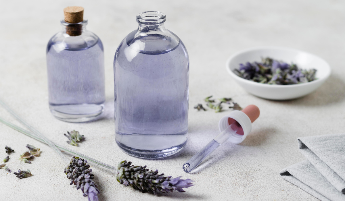 Lavanda, una planta aromática y versátil